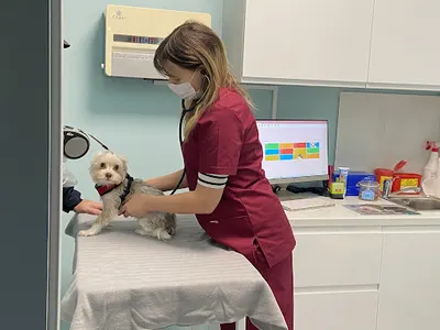 Spectrum Przychodnia Weterynaryjna S.C.